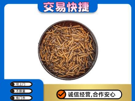 阜新县回收散虫草