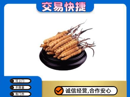 阜新县高价回收冬虫夏草多少钱每克